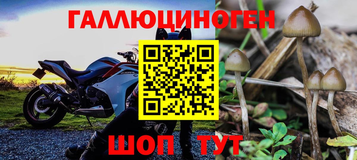 Галлюциногенные грибы Psilocybine cubensis  Псилоцибиновые грибы Psilocybe  Янаул  Вход с VPN 